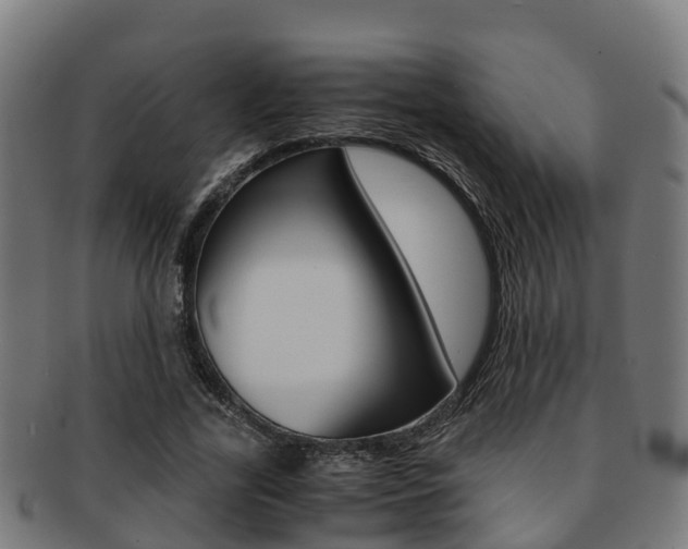 X0000091920731200709051230
