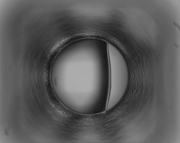 X0000091920732200709051230