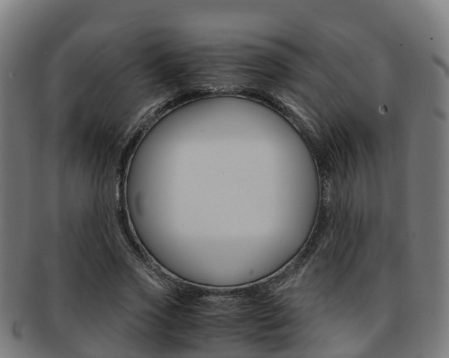 X0000091920733200709051230