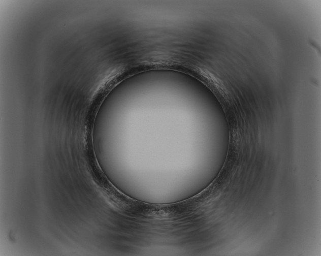 X0000091920735200709051230