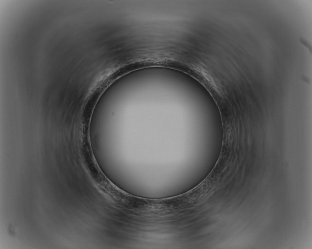 X0000091920736200709051230