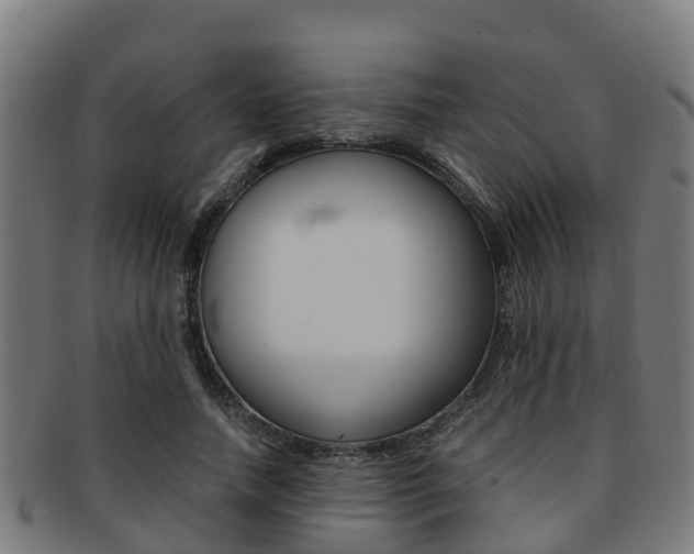 X0000091920738200709051230