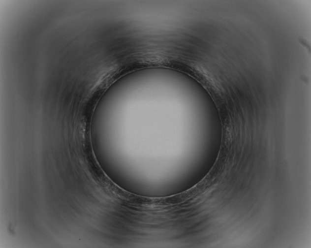 X0000091920739200709051230