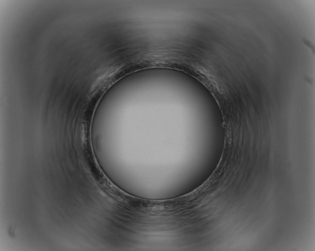 X0000091920740200709051230