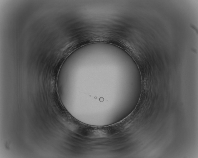 X0000091920741200709051230