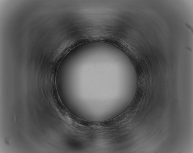 X0000091920742200709051230