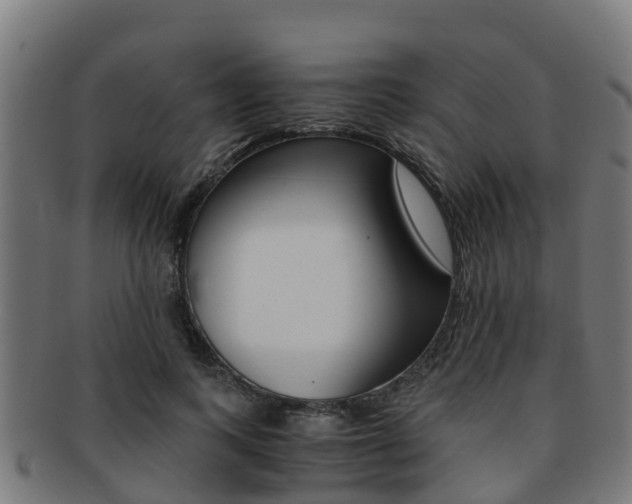 X0000091920743200709051230