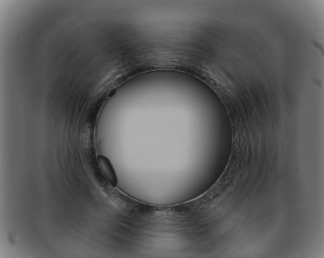X0000091920744200709051230