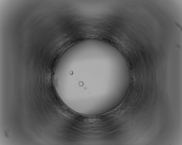 X0000091920745200709051230