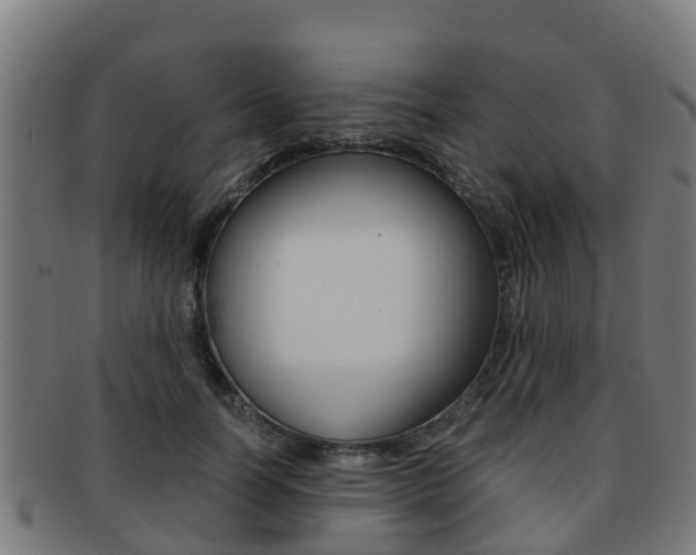 X0000091920746200709051230