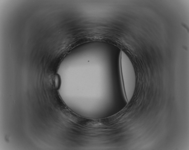 X0000091920747200709051230