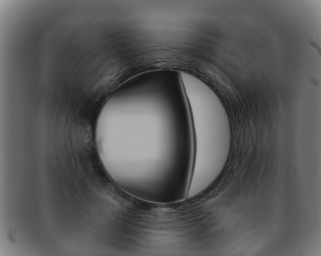 X0000091920748200709051230