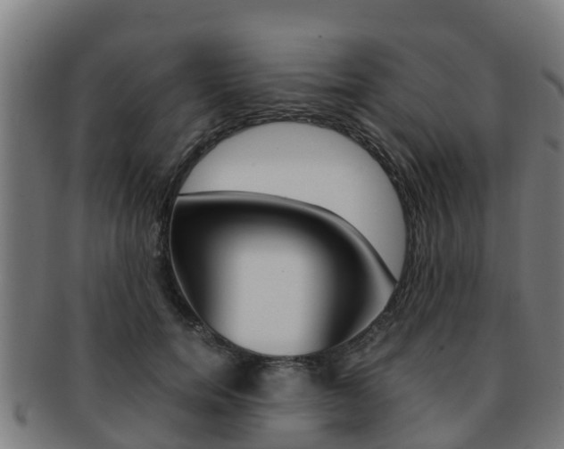 X0000091920750200709051230