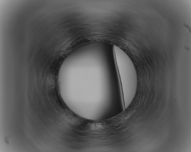 X0000091920751200709051230