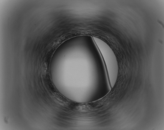 X0000091920752200709051230