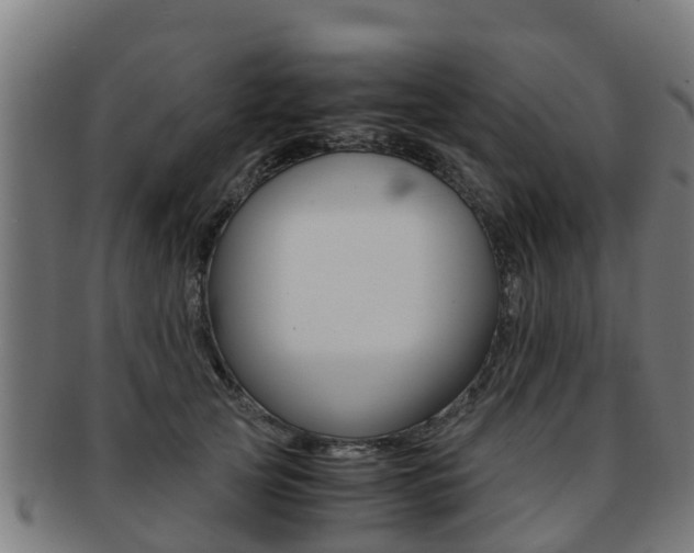 X0000091920753200709051231