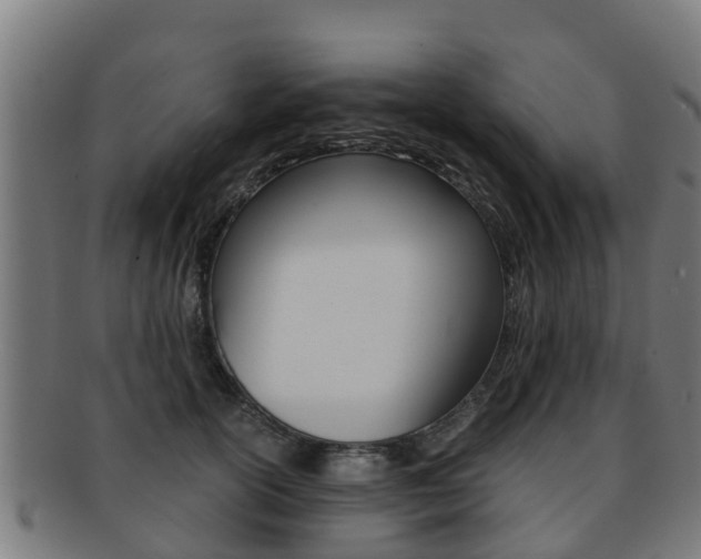 X0000091920754200709051231