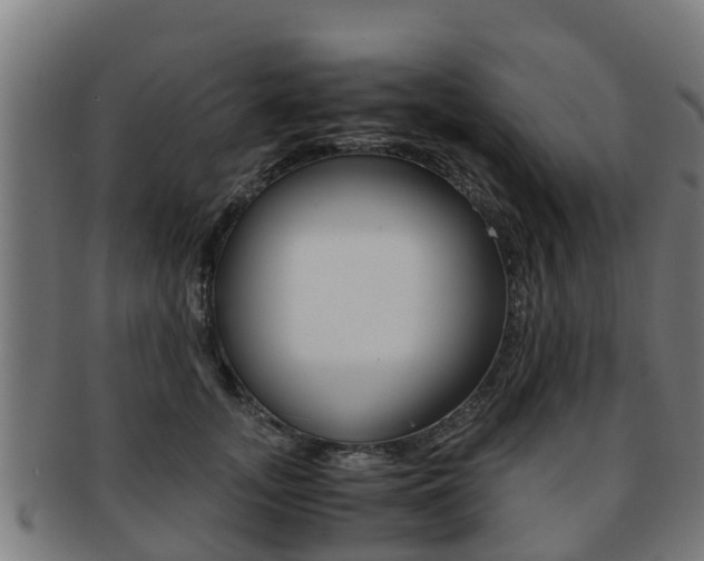 X0000091920755200709051231