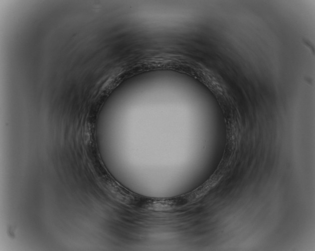 X0000091920758200709051231