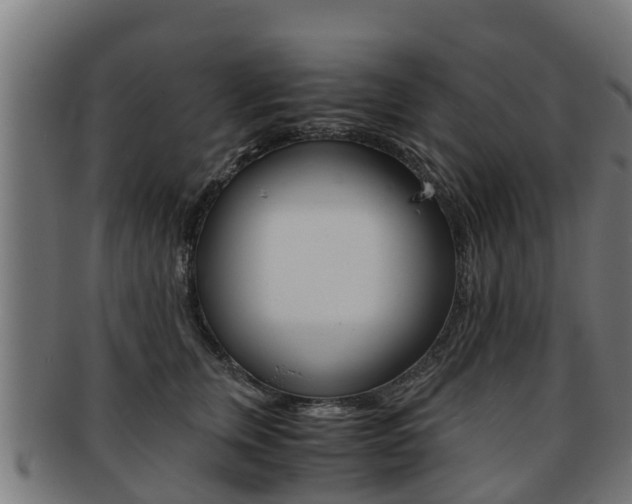 X0000091920759200709051231