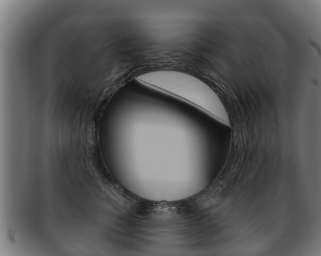 X0000091920760200709051231