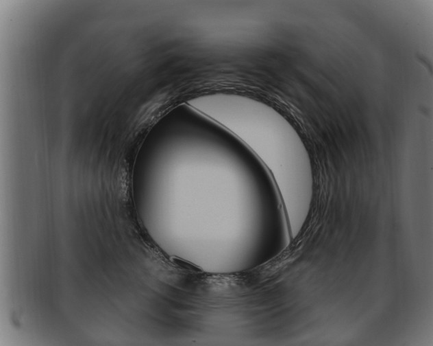 X0000091920762200709051231