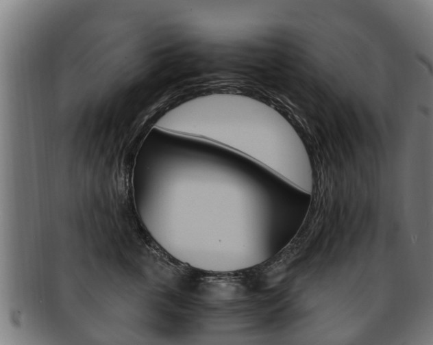 X0000091920763200709051231