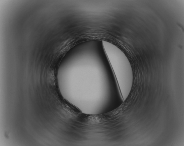 X0000091920764200709051231