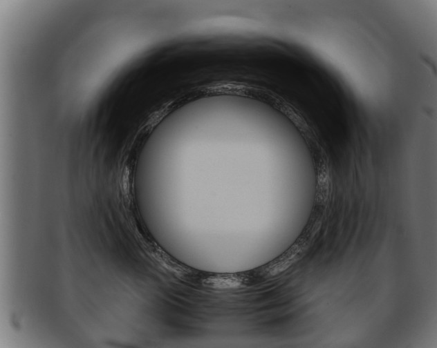 X0000091920765200709051231