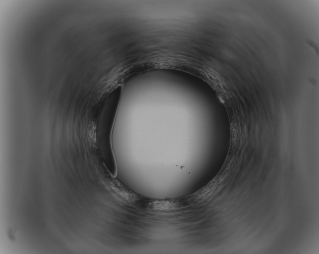 X0000091920766200709051231