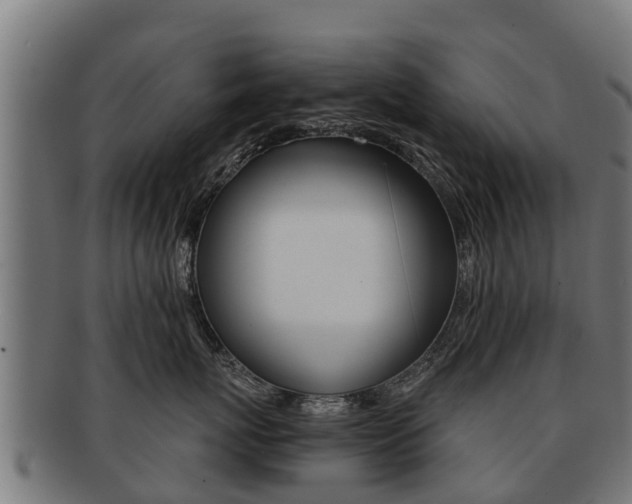 X0000091920767200709051231