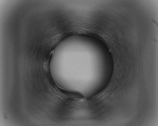X0000091920768200709051231