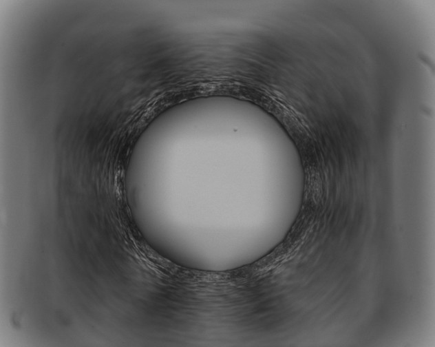X0000091920770200709051230
