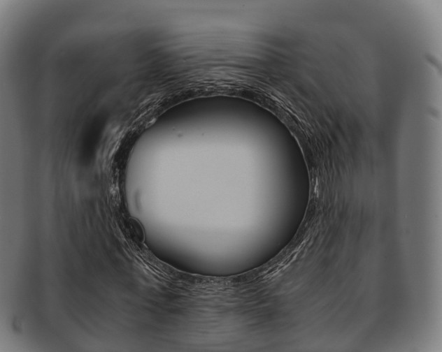 X0000091920771200709051230