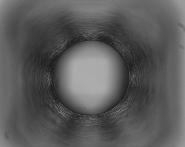 X0000091920772200709051230