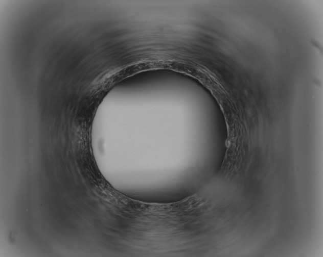 X0000091920773200709051230