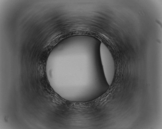 X0000091920774200709051230
