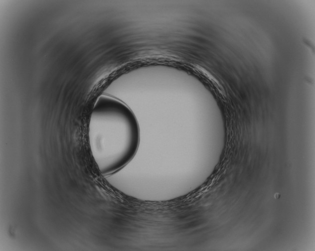 X0000091920775200709051230