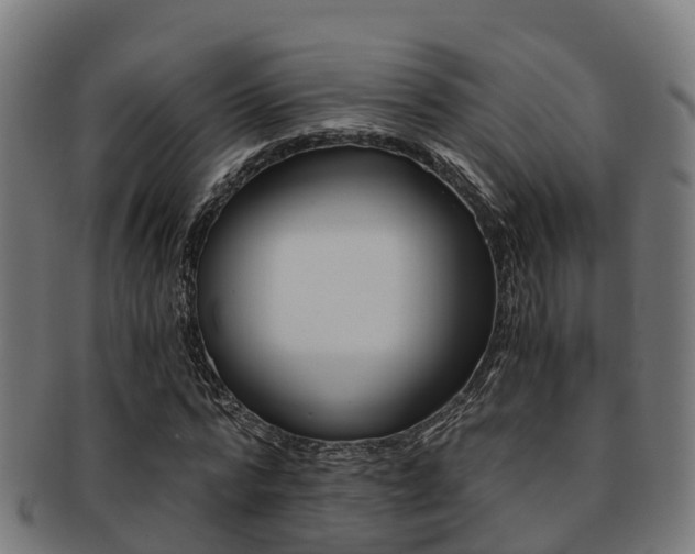 X0000091920776200709051230
