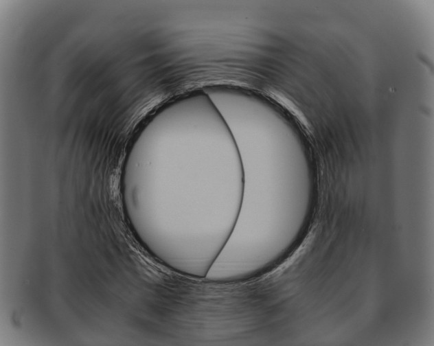 X0000091920777200709051230