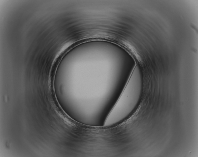 X0000091920780200709051230