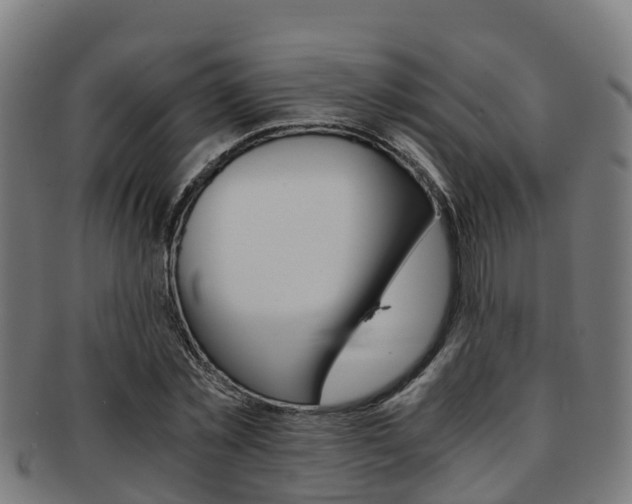 X0000091920781200709051230