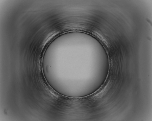 X0000091920782200709051230