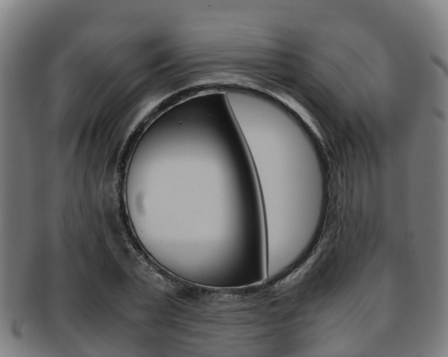 X0000091920783200709051230