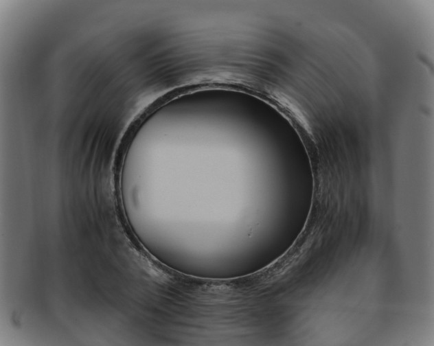 X0000091920784200709051230