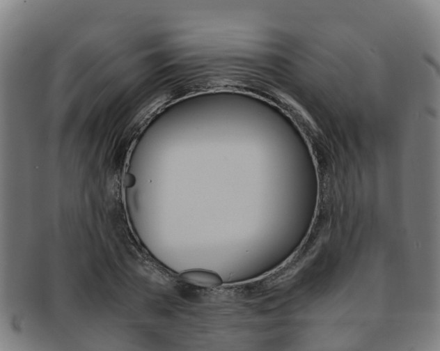 X0000091920785200709051230