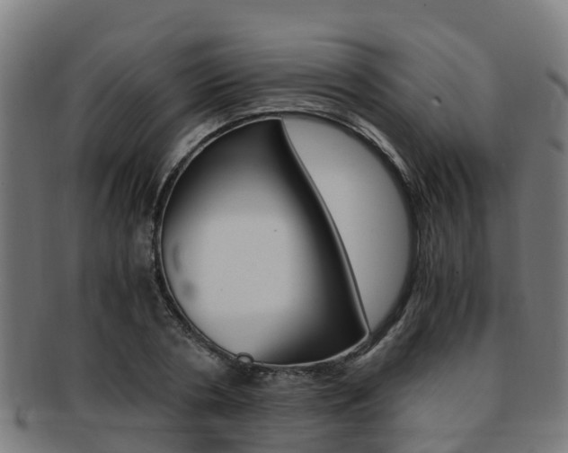 X0000091920786200709051230