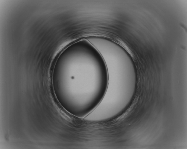 X0000091920787200709051230
