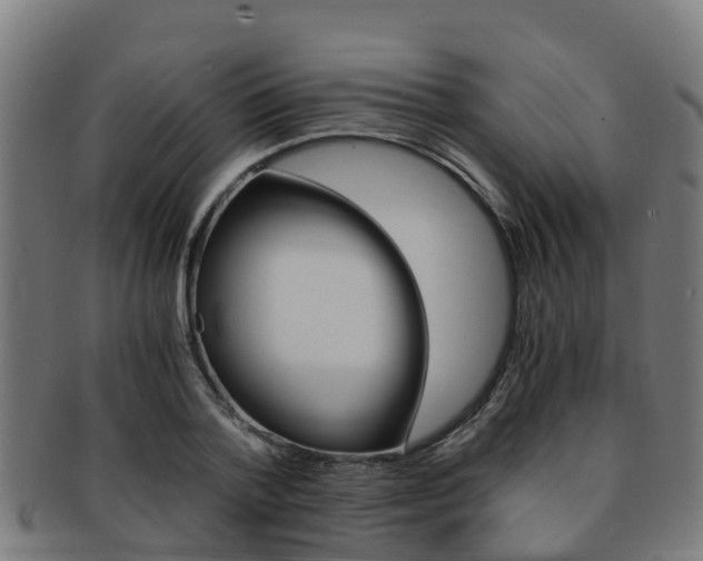 X0000091920788200709051230