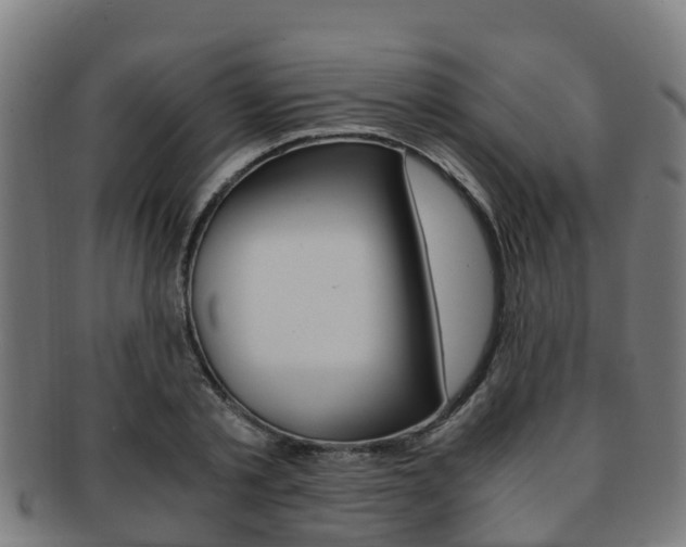 X0000091920789200709051230